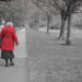 Best Walking Canes for Women