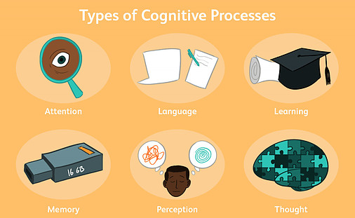 Decline in cognition as we get older