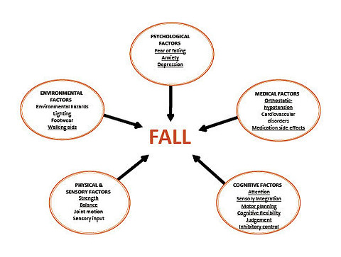 Psychological impact of falls in the elderly and seniors